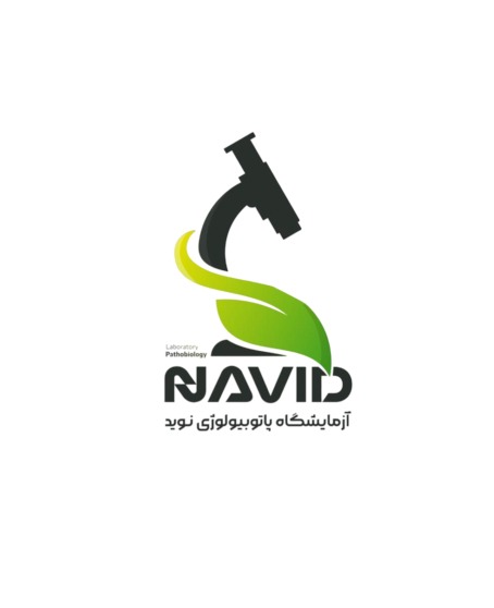 تیم پشتیبانی و خدمات