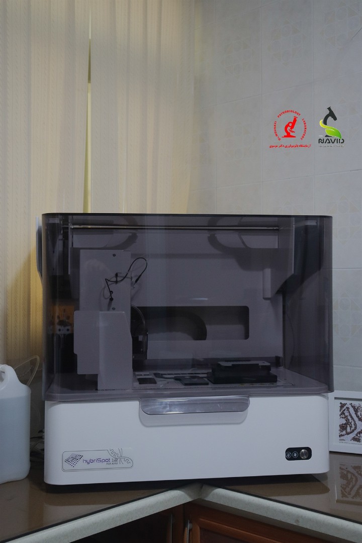 دستگاه HybriSpot HS12 Auto