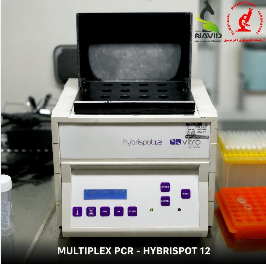 دستگاه HybriSpot HS12 Semi Auto